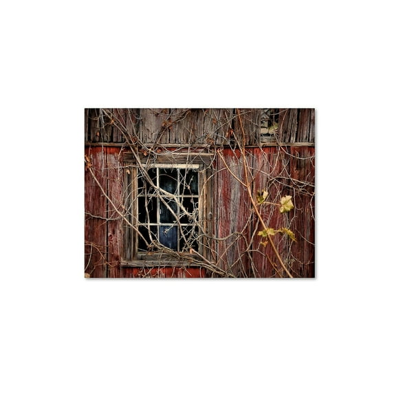 Trademark Fine Art "Old Barn Window" Canvas Art by Lois Bryan
