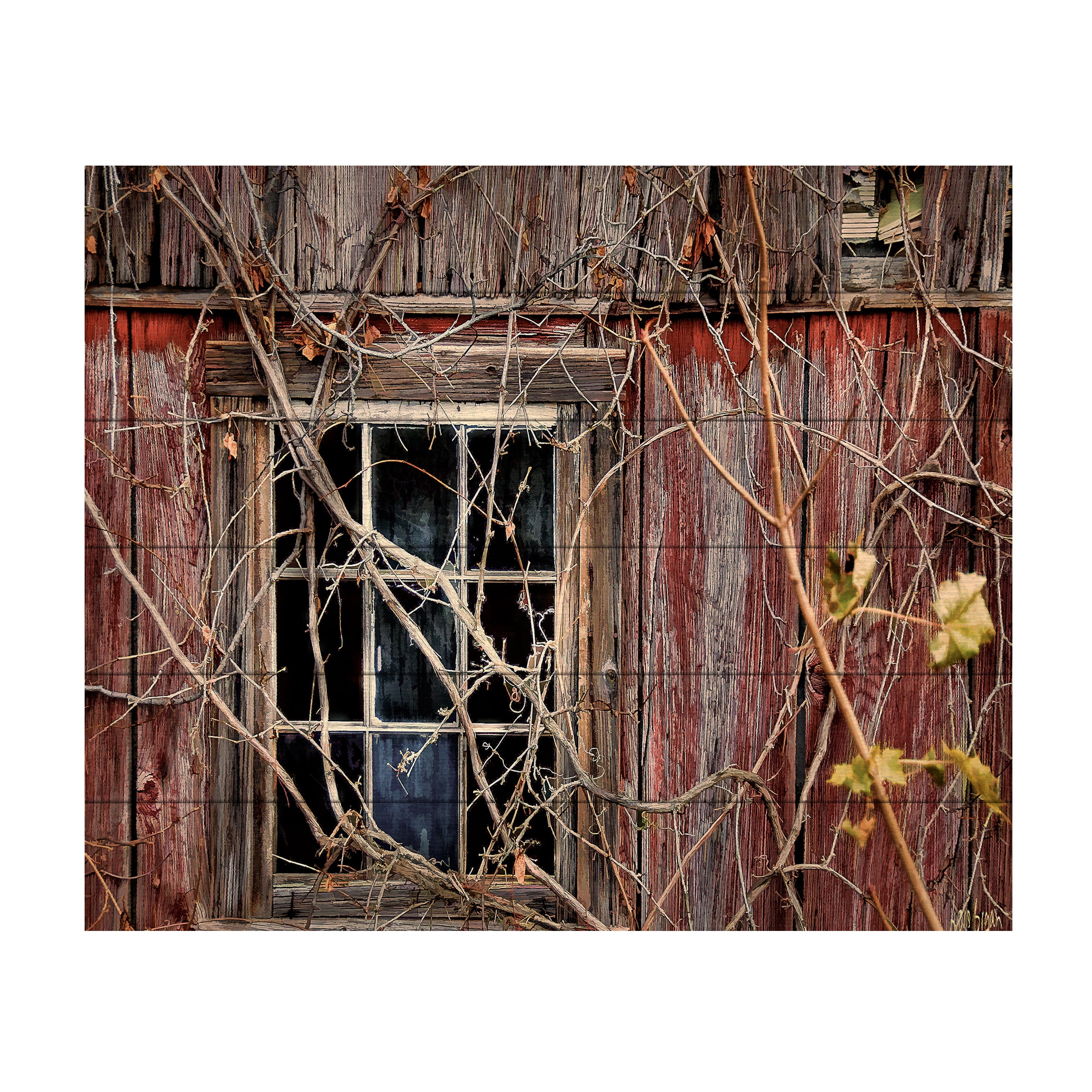 Trademark Fine Art 'Old Barn Window' Wooden Wall Art Art by Lois Bryan