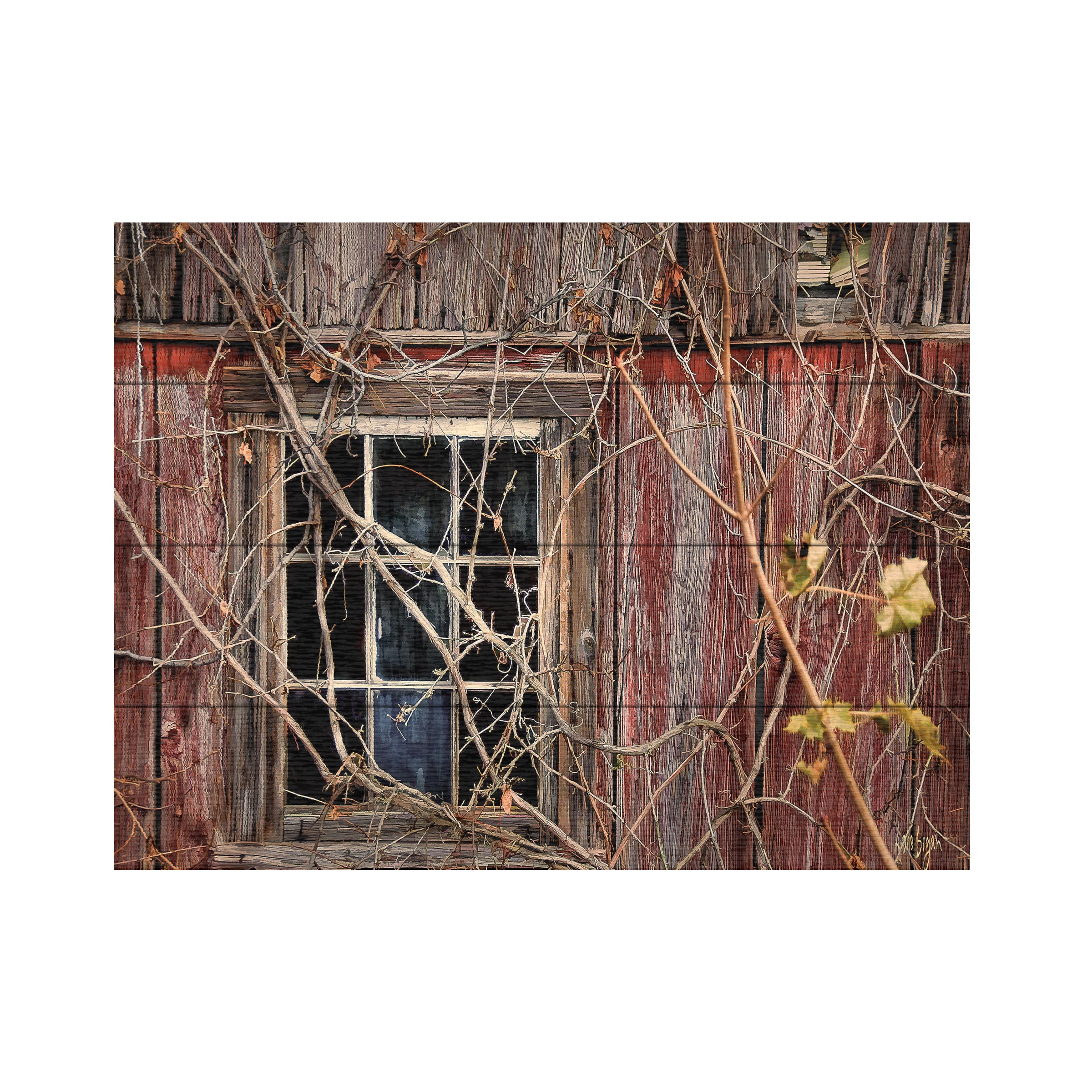 Trademark Fine Art 'Old Barn Window' Wooden Wall Art Art by Lois Bryan