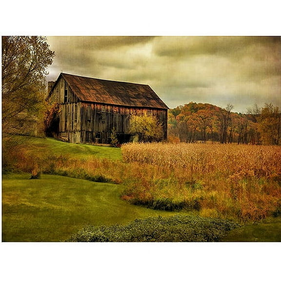 Trademark Fine Art "Old Barn on Rainy Day" Canvas Wall Art by Lois Bryan