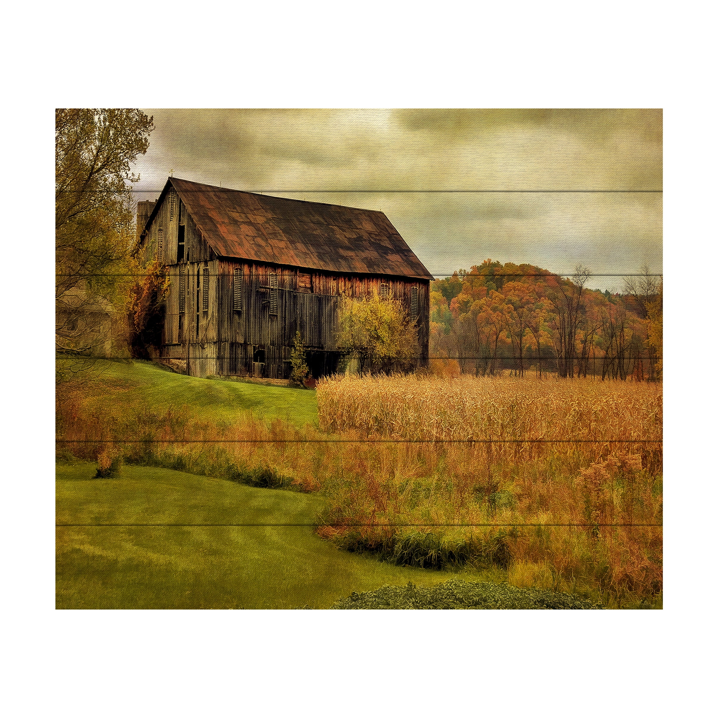 Trademark Fine Art 'Old Barn on Rainy Day' Wooden Wall Art Art by Lois Bryan