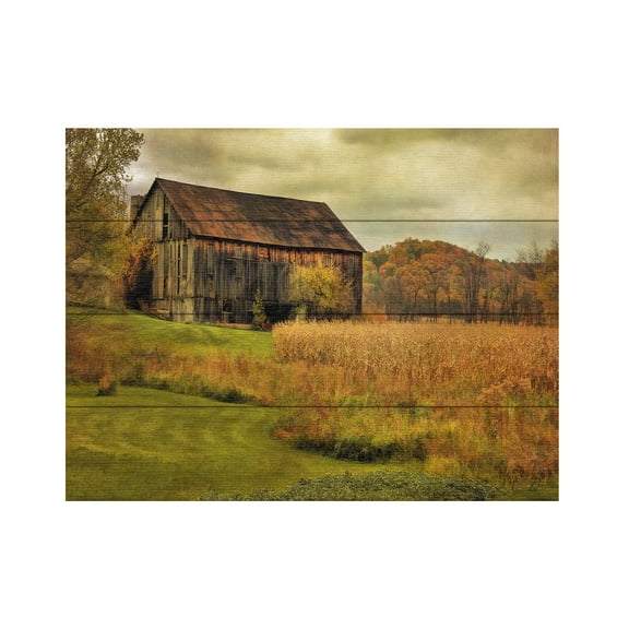 Trademark Fine Art 'Old Barn on Rainy Day' Wooden Wall Art Art by Lois Bryan