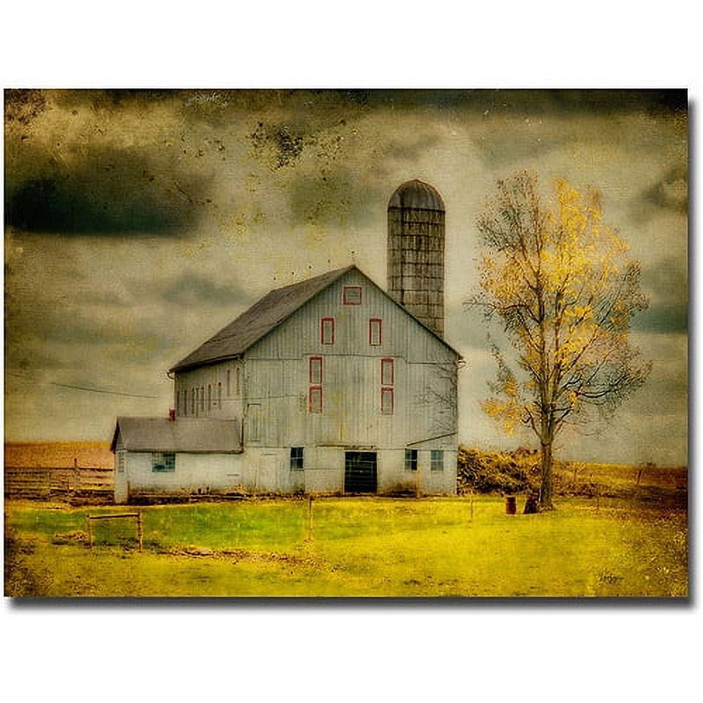 Trademark Fine Art "Old Barn on Stormy Afternoon" Canvas Wall Art by Lois Bryan, 30x47