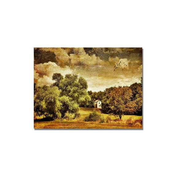 Trademark Fine Art "Old Farm House" Canvas Wall Art by Lois Bryan