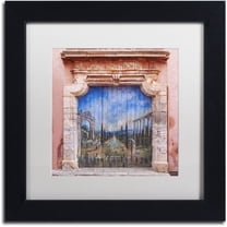 Trademark Fine Art 'Old Painted Door' Canvas Art by Michael Blanchette Photography, White Matte, Black Frame