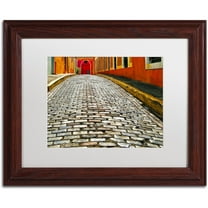 Trademark Fine Art "Old San Juan 14" Canvas Art by CATeyes, White Matte, Wood Frame