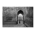 thumbnail image 1 of Trademark Fine Art 'Old World' Canvas Art by Ali Khataw, 1 of 3