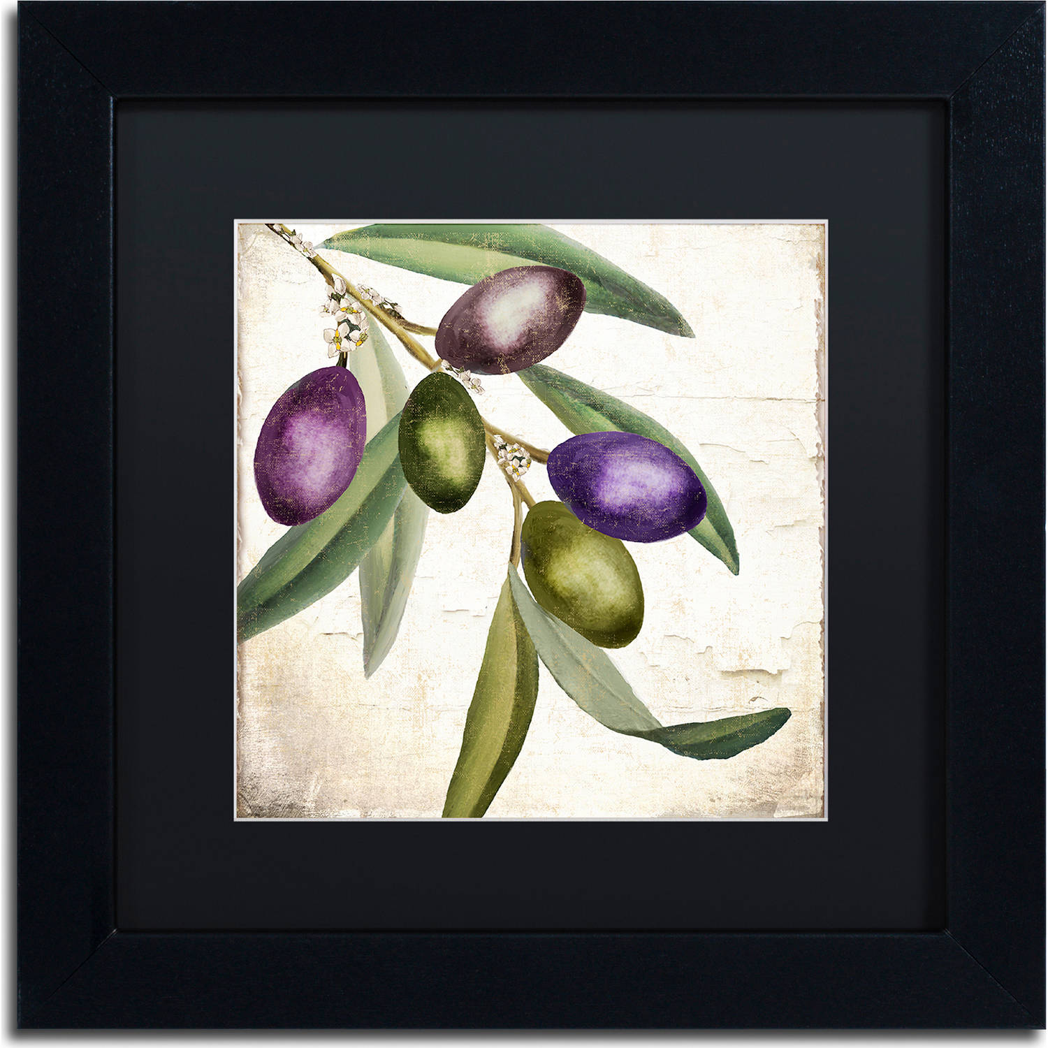Trademark Fine Art "Olive Branch I" Canvas Art by Color Bakery, Black Matte, Black Frame