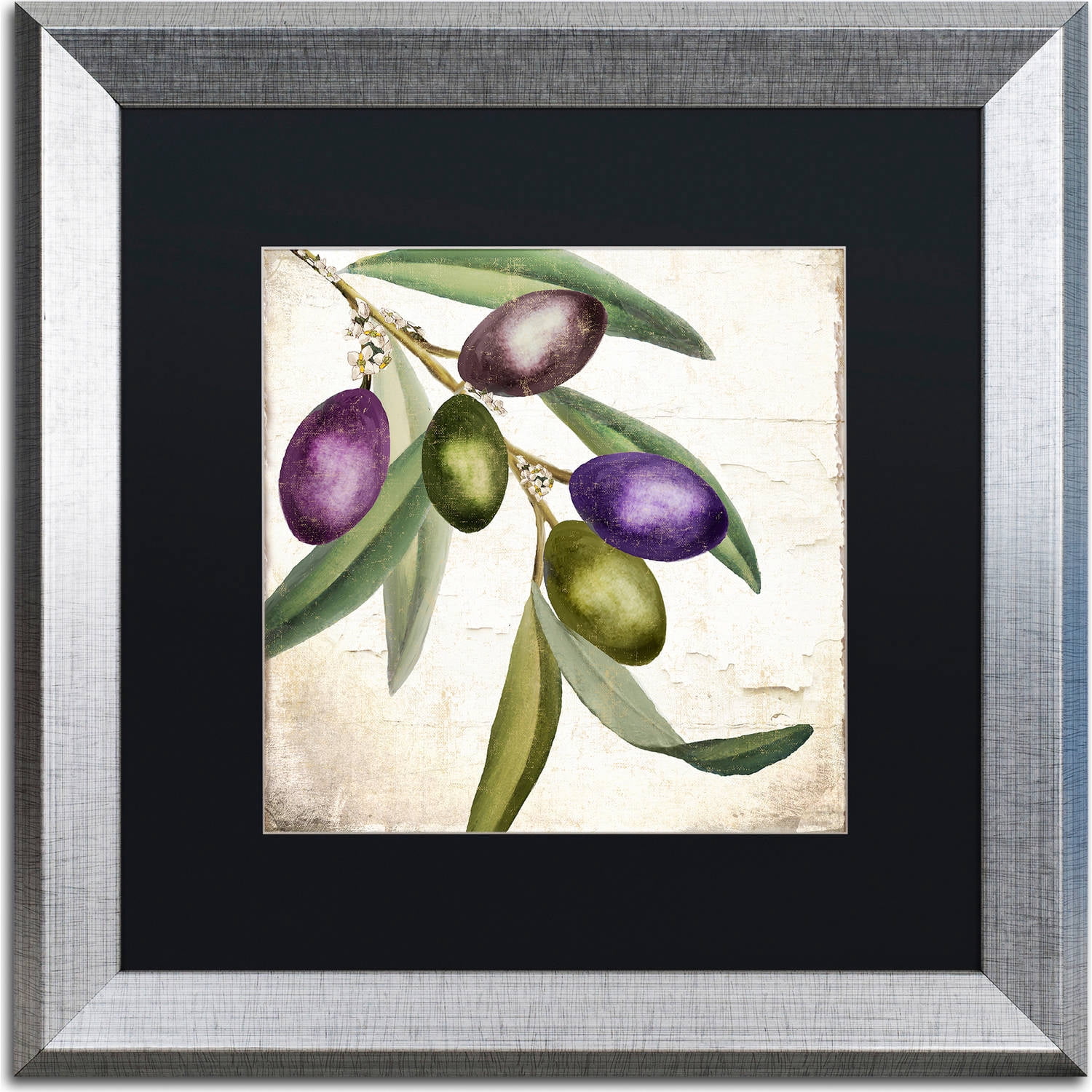 Trademark Fine Art "Olive Branch I" Canvas Art by Color Bakery, Black Matte, Silver Frame