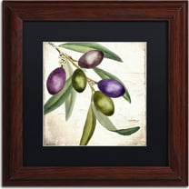 Trademark Fine Art "Olive Branch I" Canvas Art by Color Bakery, Black Matte, Wood Frame