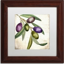 Trademark Fine Art "Olive Branch I" Canvas Art by Color Bakery, White Matte, Wood Frame
