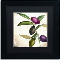Trademark Fine Art "Olive Branch II" Canvas Art by Color Bakery, Black Matte, Black Frame