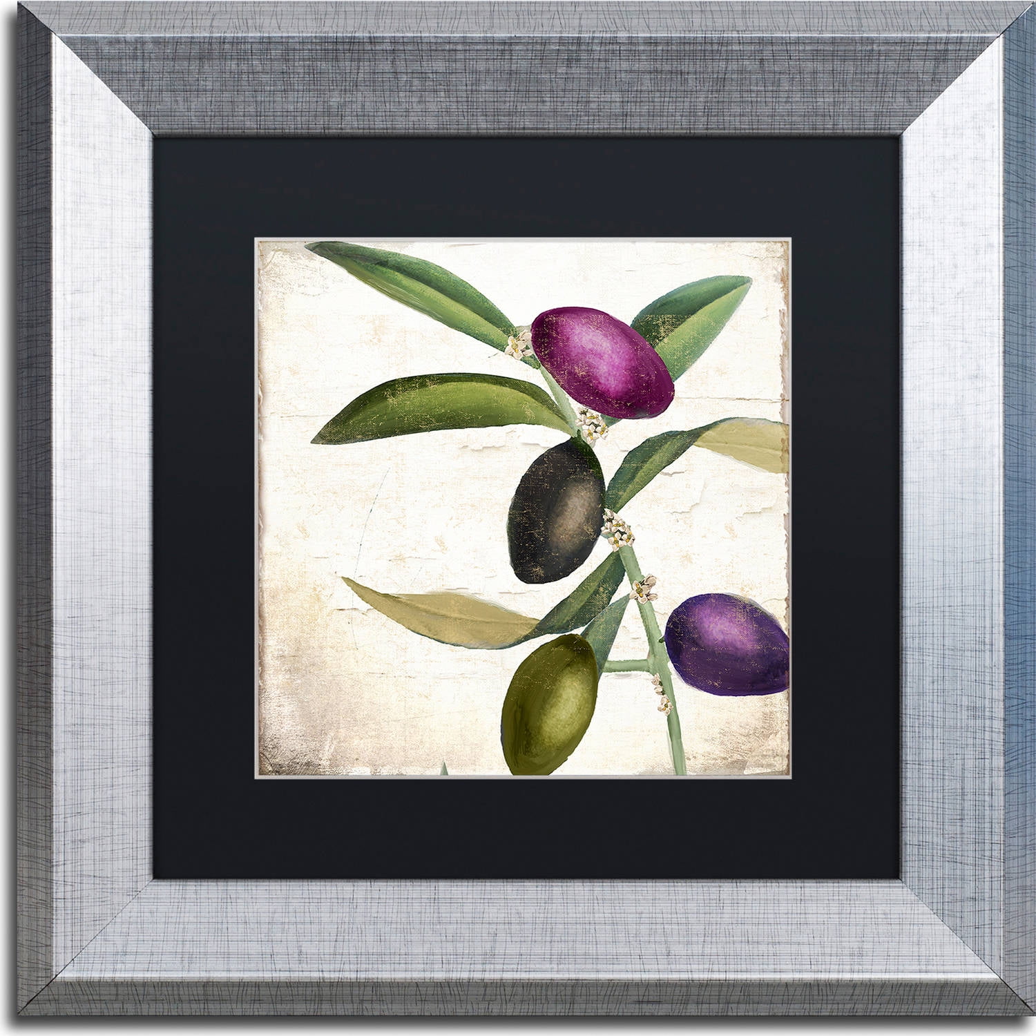 Trademark Fine Art "Olive Branch II" Canvas Art by Color Bakery, Black Matte, Silver Frame