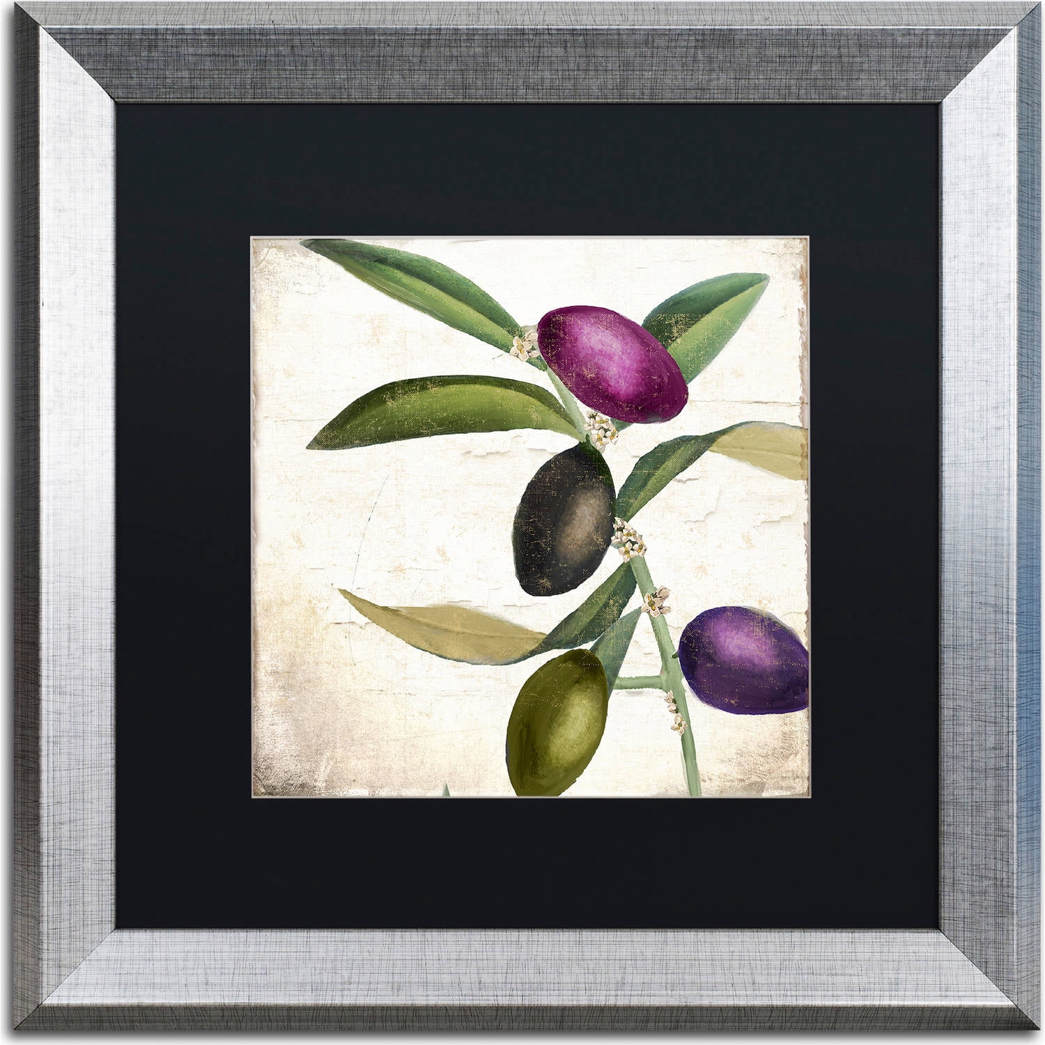 Trademark Fine Art "Olive Branch II" Canvas Art by Color Bakery, Black Matte, Silver Frame