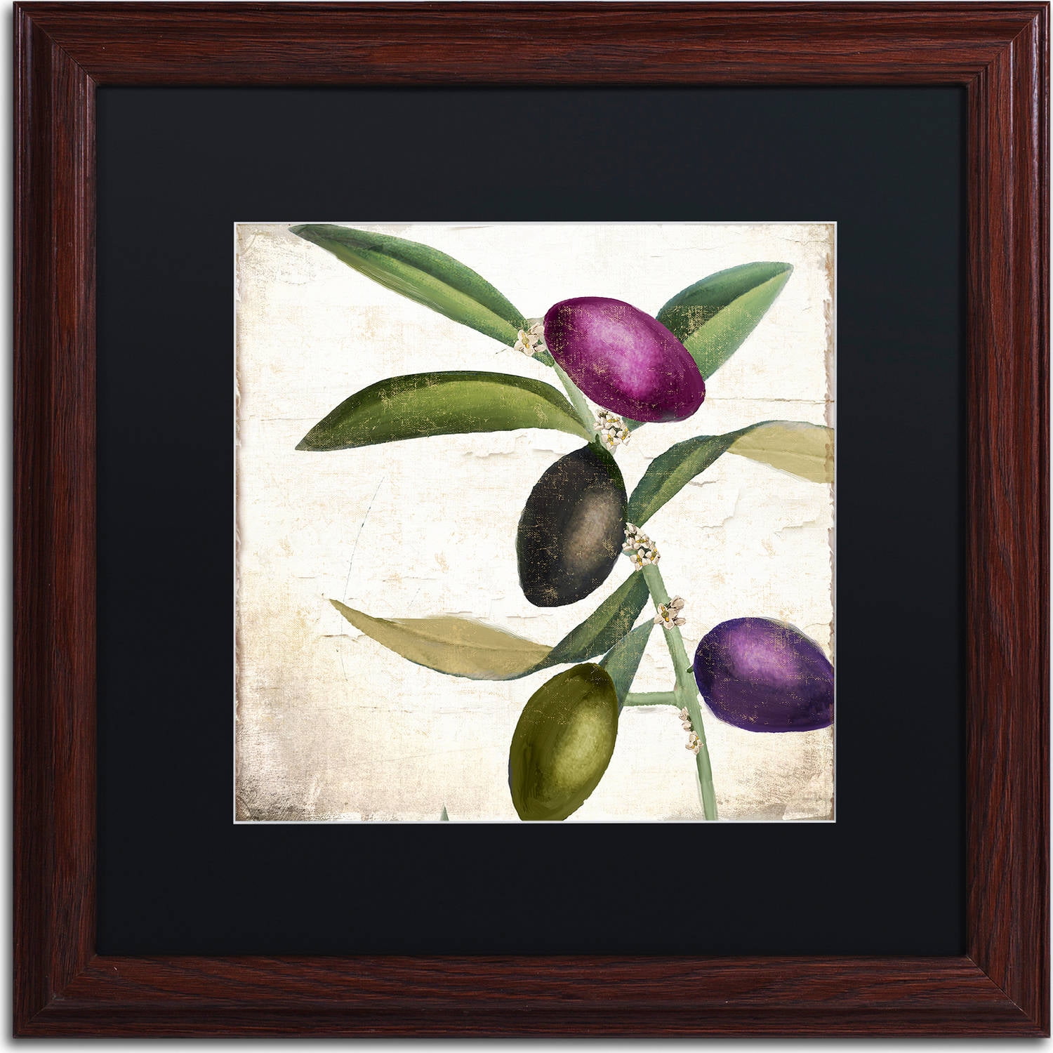 Trademark Fine Art "Olive Branch II" Canvas Art by Color Bakery, Black Matte, Wood Frame