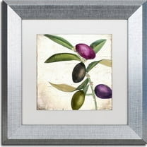 Trademark Fine Art "Olive Branch II" Canvas Art by Color Bakery, White Matte, Silver Frame