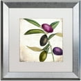 thumbnail image 1 of Trademark Fine Art "Olive Branch II" Canvas Art by Color Bakery, White Matte, Silver Frame, 1 of 1