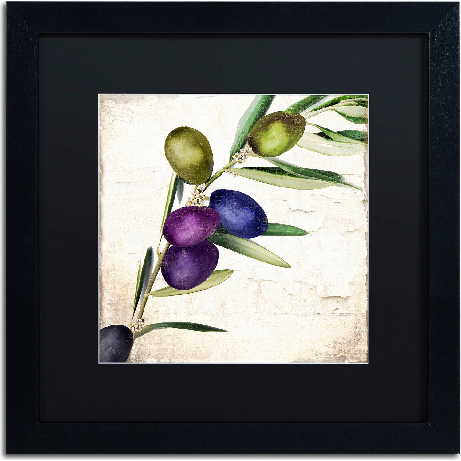 Trademark Fine Art "Olive Branch III" Canvas Art by Color Bakery, Black Matte, Black Frame