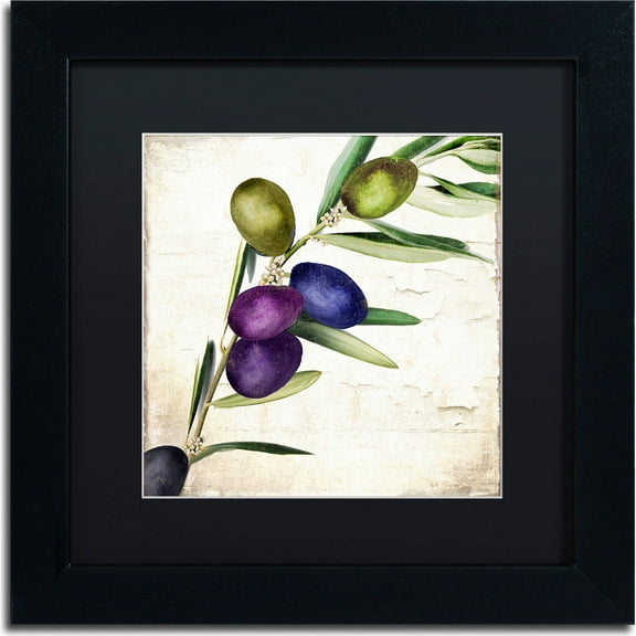 Trademark Fine Art "Olive Branch III" Canvas Art by Color Bakery, Black Matte, Black Frame