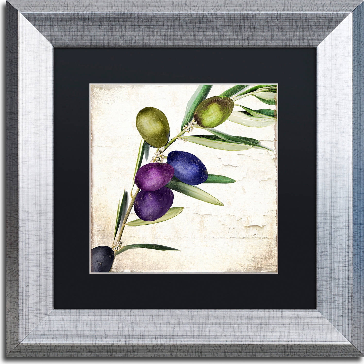 Trademark Fine Art "Olive Branch III" Canvas Art by Color Bakery, Black Matte, Silver Frame