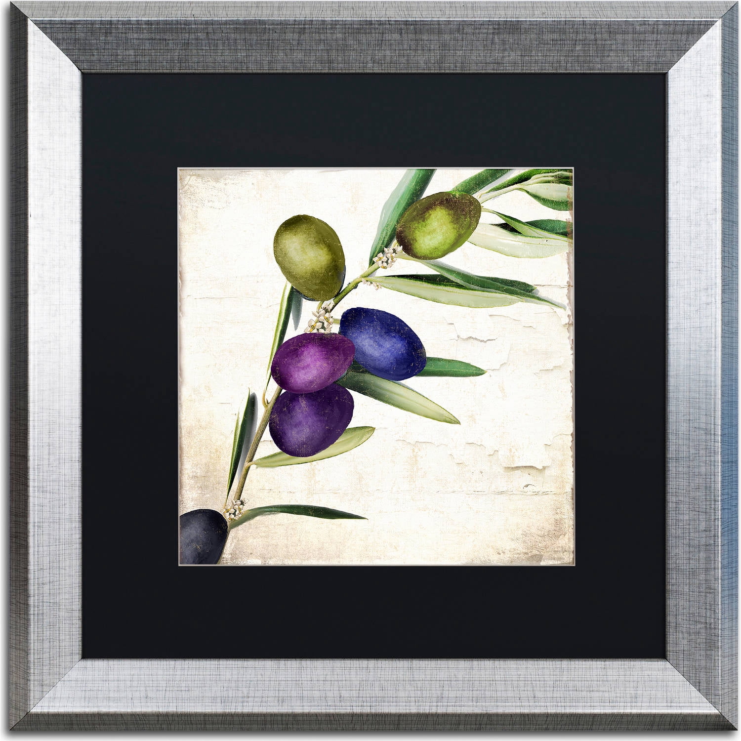 Trademark Fine Art "Olive Branch III" Canvas Art by Color Bakery, Black Matte, Silver Frame