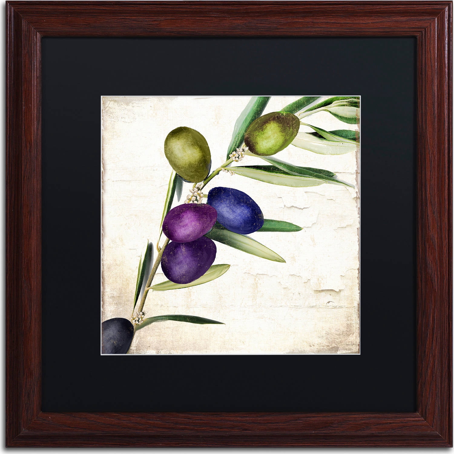 Trademark Fine Art "Olive Branch III" Canvas Art by Color Bakery, Black Matte, Wood Frame