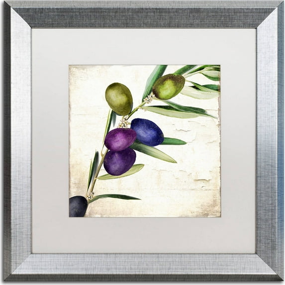Trademark Fine Art "Olive Branch III" Canvas Art by Color Bakery, White Matte, Silver Frame