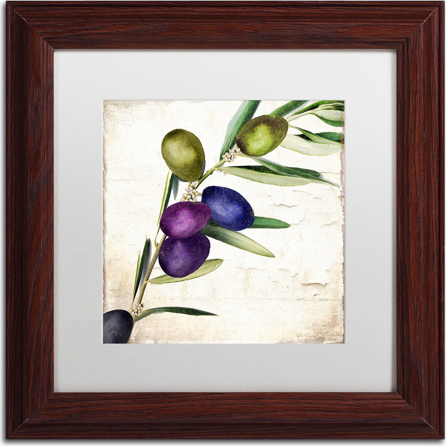 Trademark Fine Art "Olive Branch III" Canvas Art by Color Bakery, White Matte, Wood Frame