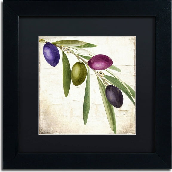 Trademark Fine Art "Olive Branch IV" Canvas Art by Color Bakery, Black Matte, Black Frame