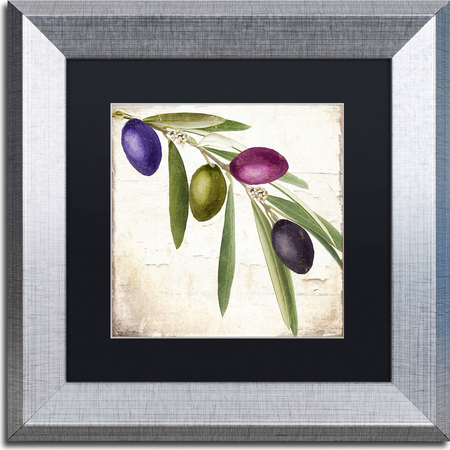 Trademark Fine Art "Olive Branch IV" Canvas Art by Color Bakery, Black Matte, Silver Frame