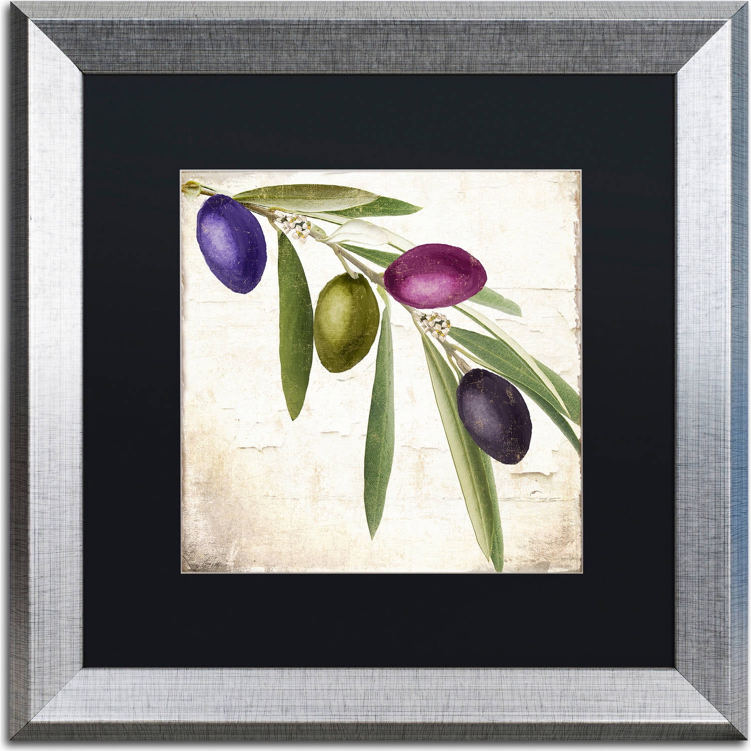 Trademark Fine Art "Olive Branch IV" Canvas Art by Color Bakery, Black Matte, Silver Frame
