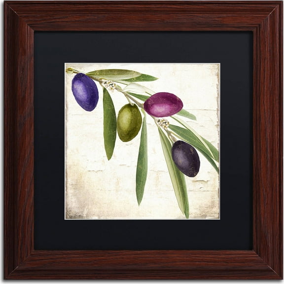 Trademark Fine Art "Olive Branch IV" Canvas Art by Color Bakery, Black Matte, Wood Frame
