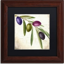 Trademark Fine Art "Olive Branch IV" Canvas Art by Color Bakery, Black Matte, Wood Frame