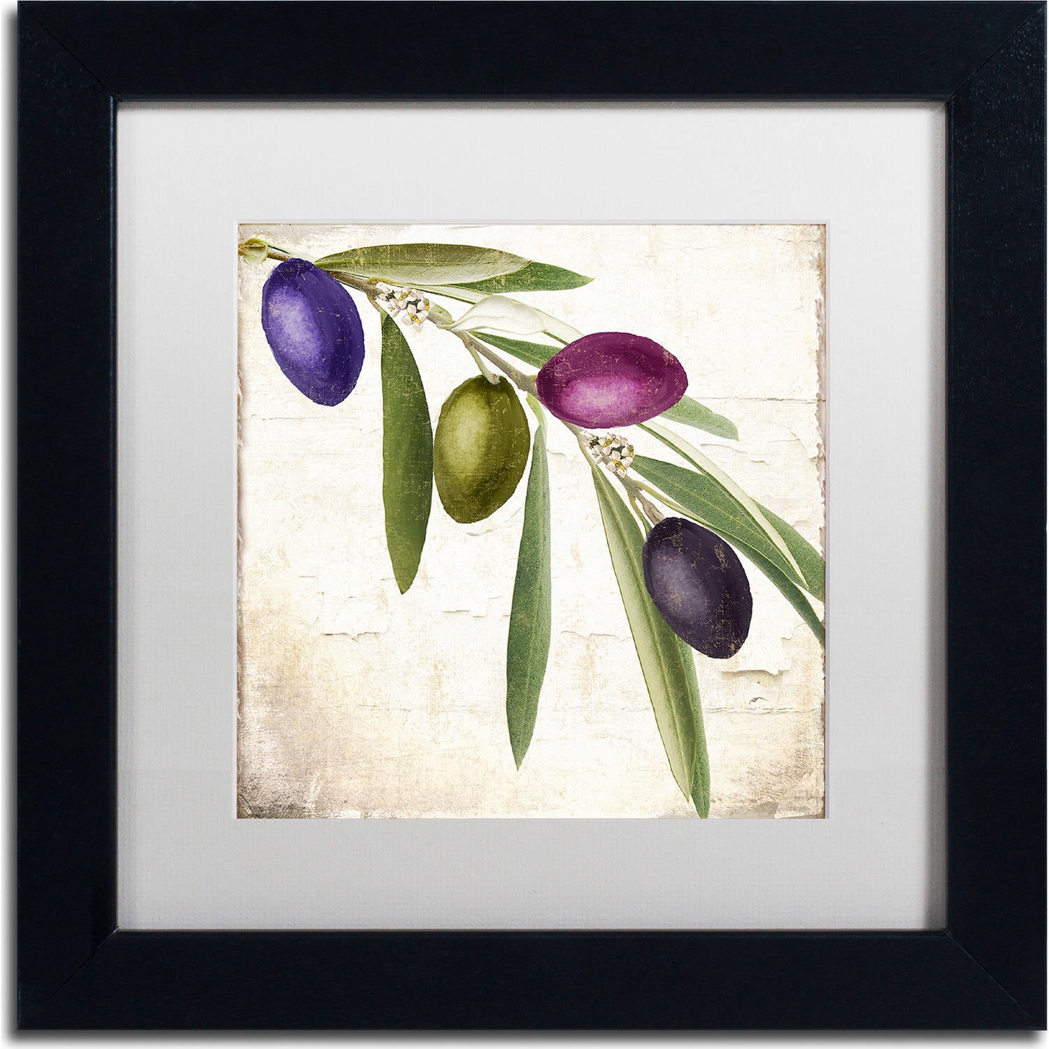 Olive Branch IV Black Framed Botanical Canvas Art, 11x11