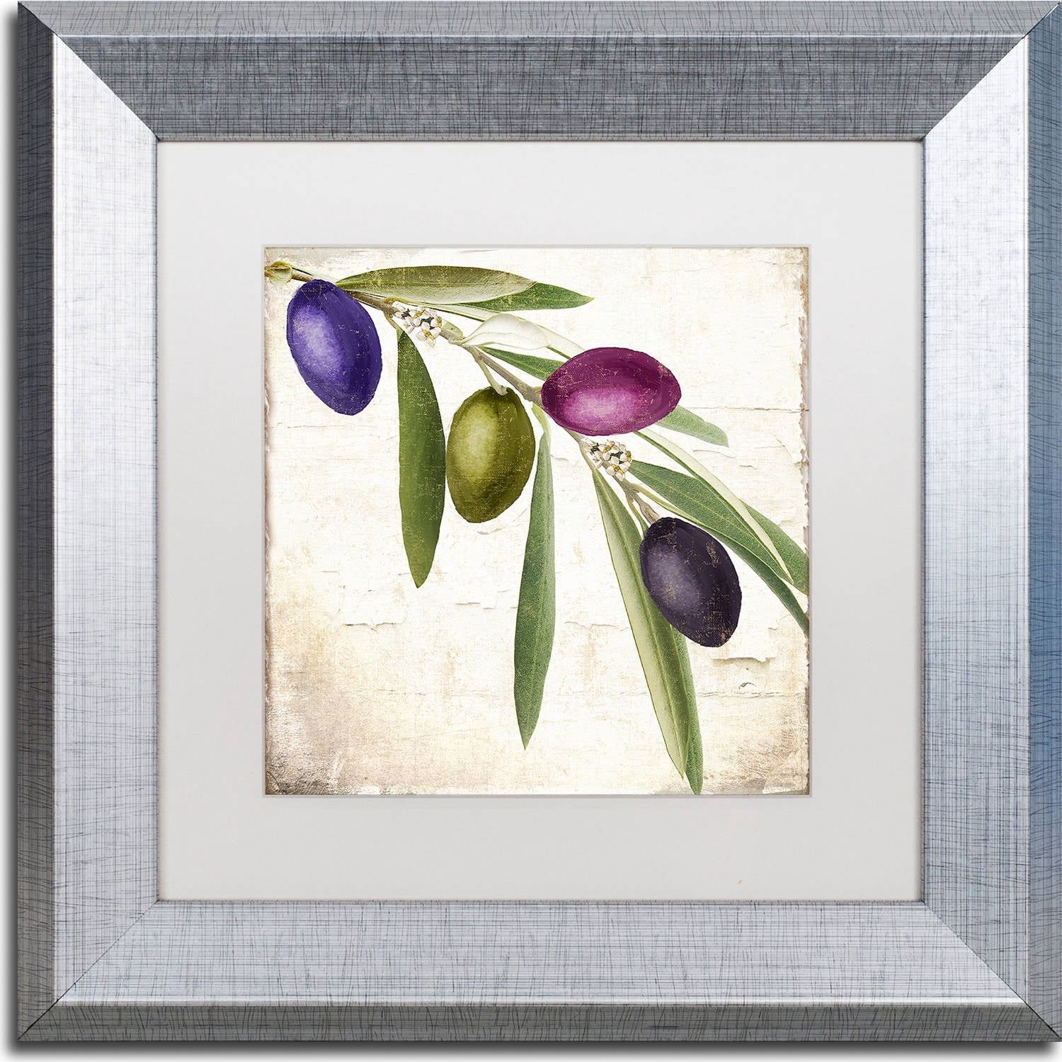 Trademark Fine Art "Olive Branch IV" Canvas Art by Color Bakery, White Matte, Silver Frame