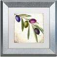 thumbnail image 1 of Trademark Fine Art "Olive Branch IV" Canvas Art by Color Bakery, White Matte, Silver Frame, 1 of 1