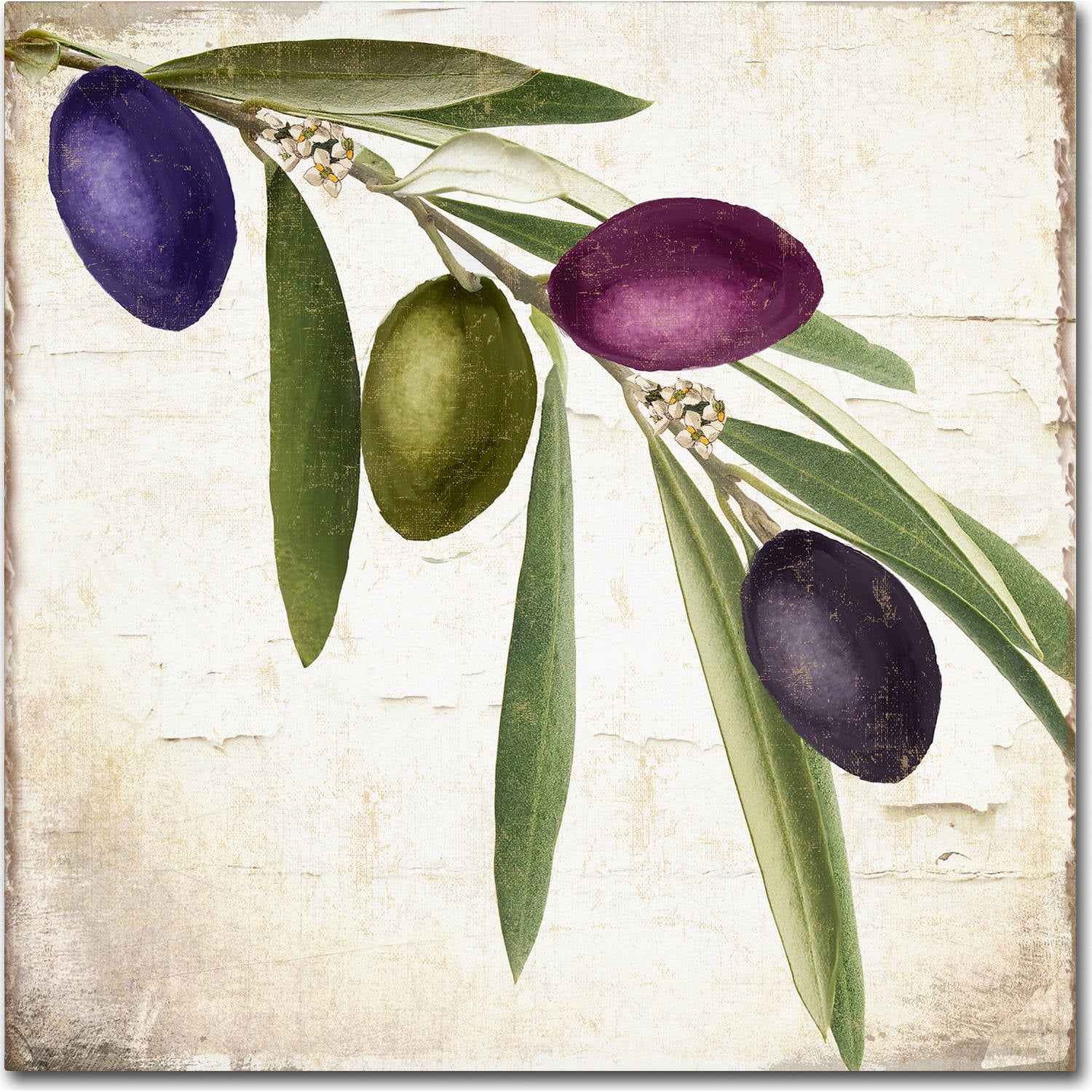 18 x 18 Green and Purple Olive Branch Canvas Art