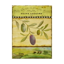 Trademark Fine Art 'Olive Grove Toscana' Canvas Art by Art Licensing Studio