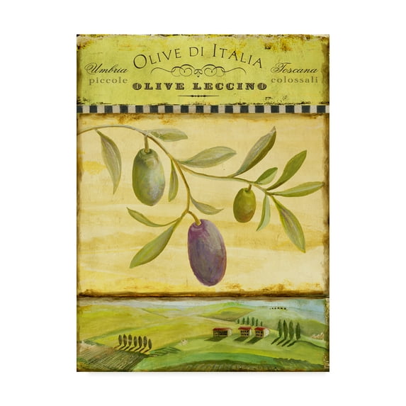 Trademark Fine Art 'Olive Grove Toscana' Canvas Art by Art Licensing Studio