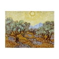 thumbnail image 1 of Trademark Fine Art Vincent van Gogh Olive Trees 1889 Canvas Wall Art - 14x19, 1 of 5