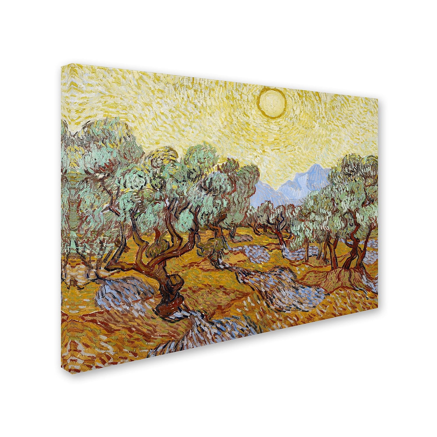 Vincent Van Gogh Olive Trees Landscape Canvas Art