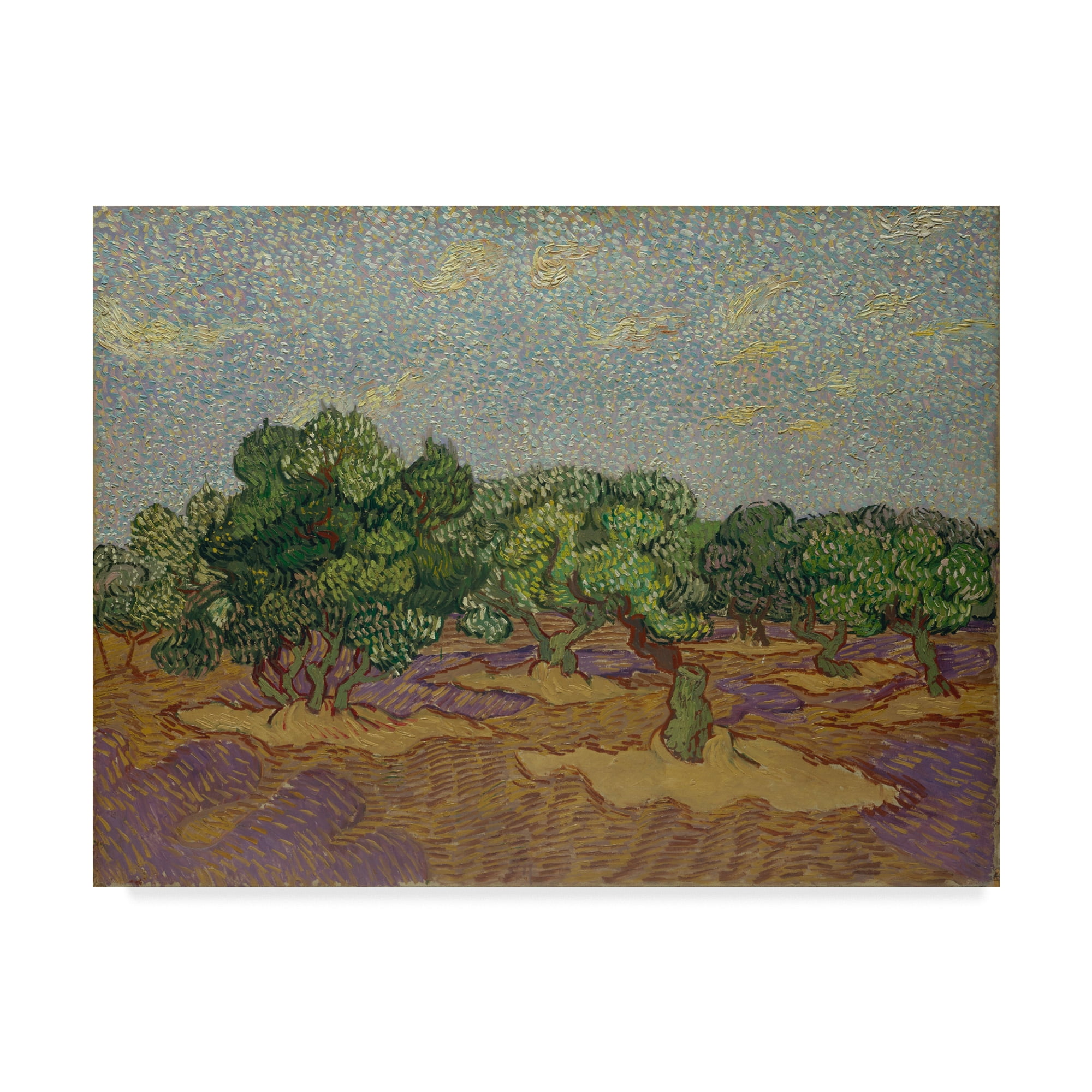 Vincent Van Gogh Olive Trees Landscape Canvas Art, 18x24 Inches
