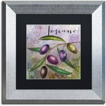 Trademark Fine Art "Olivia II" Canvas Art by Color Bakery Black Matte, Silver Frame