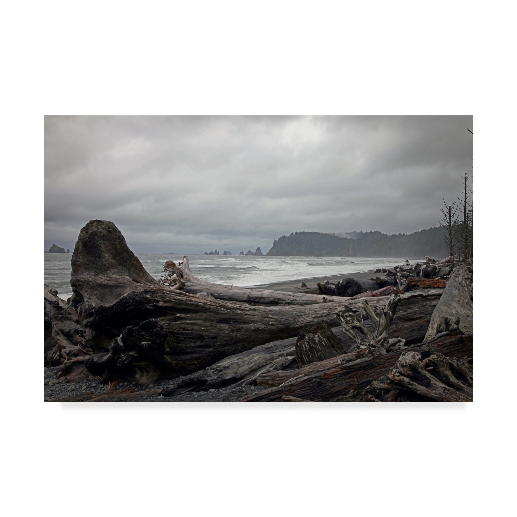 Trademark Fine Art 'Olympic Np 3' Canvas Art by J.D. McFarlan