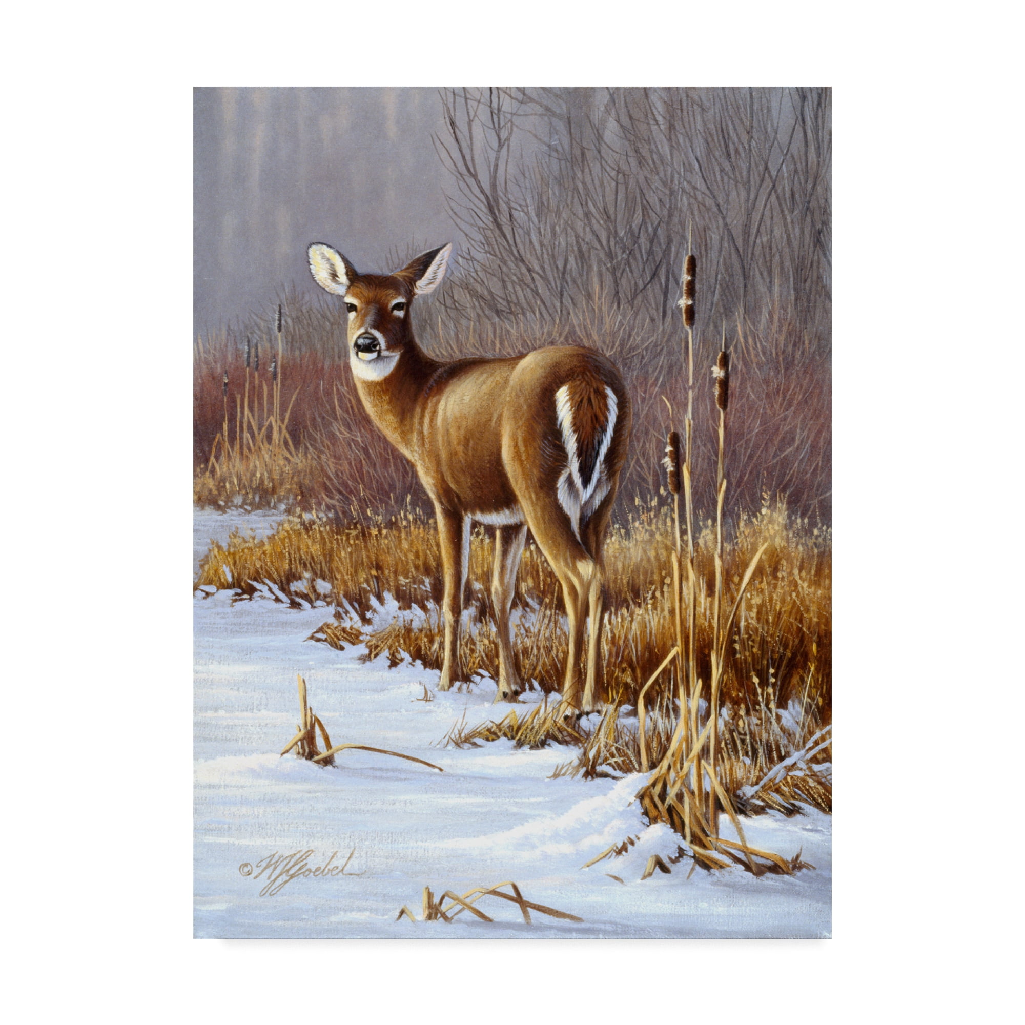 Trademark Fine Art 'On Alert' Canvas Art by Wilhelm Goebel