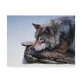 thumbnail image 1 of Trademark Fine Art 'On The Edge' Canvas Art by Rusty Frentner, 1 of 3
