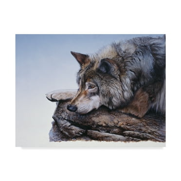 Trademark Fine Art 'On The Edge' Canvas Art by Rusty Frentner