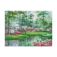 thumbnail image 1 of Trademark Fine Art 'On The Green' Canvas Art by Barbara Mock, 1 of 3