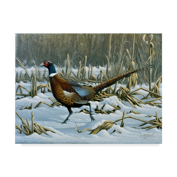 Trademark Fine Art 'On The Run' Canvas Art by Wilhelm Goebel