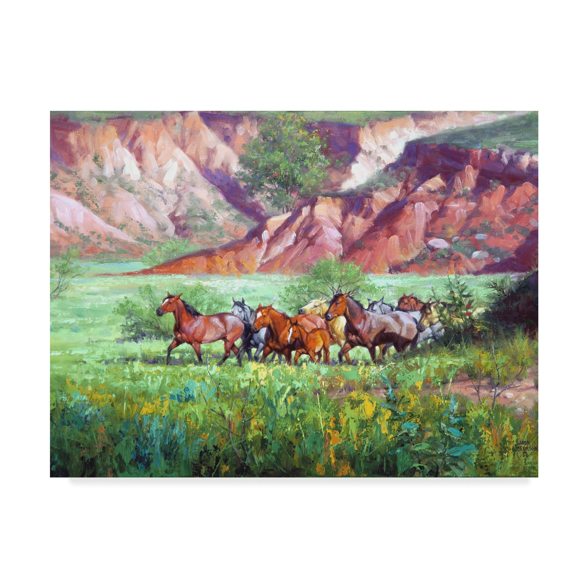 Trademark Fine Art 'On the Canyon Floor' Canvas Art by Jack Sorenson
